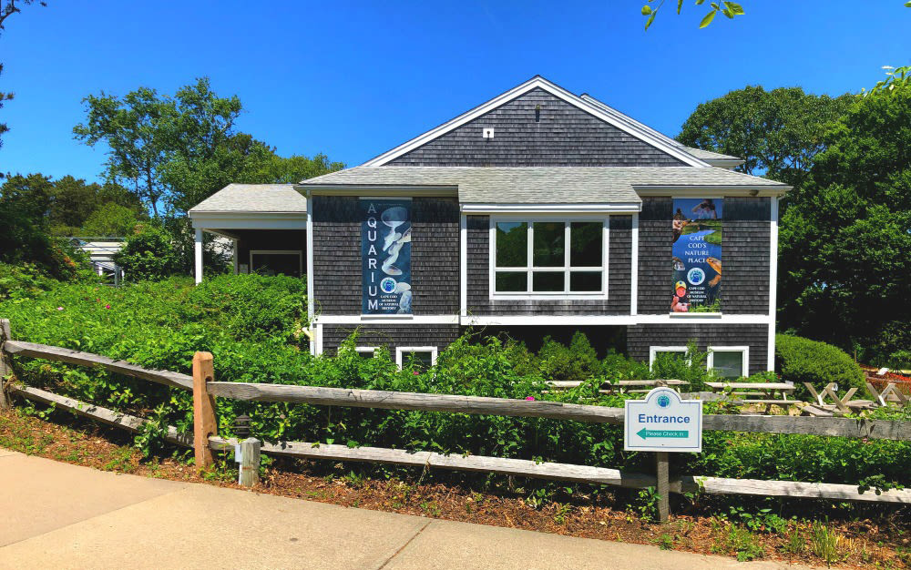 2020_Museum_Entrance_Kate-Roderick_2-1504efd65056b36_1504f0fc-5056-b365-abb3b2fc0fd0e72c