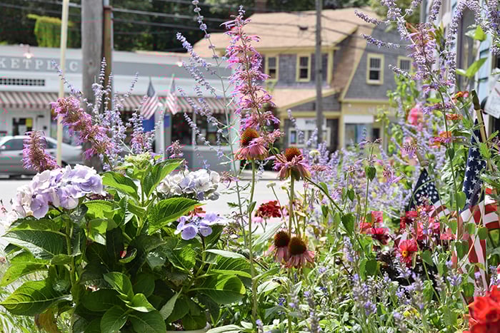 Downtown Wellfleet MA
