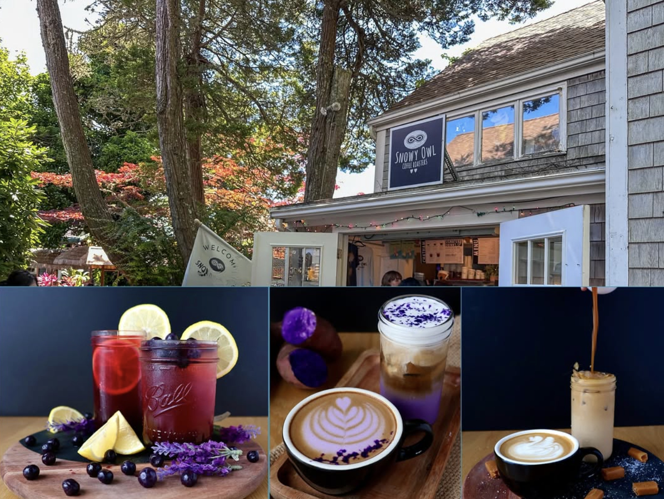 Snowy Owl Coffee and Espresso Bar Chatham