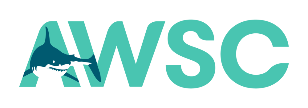 Atlantic White Shark Conservancy