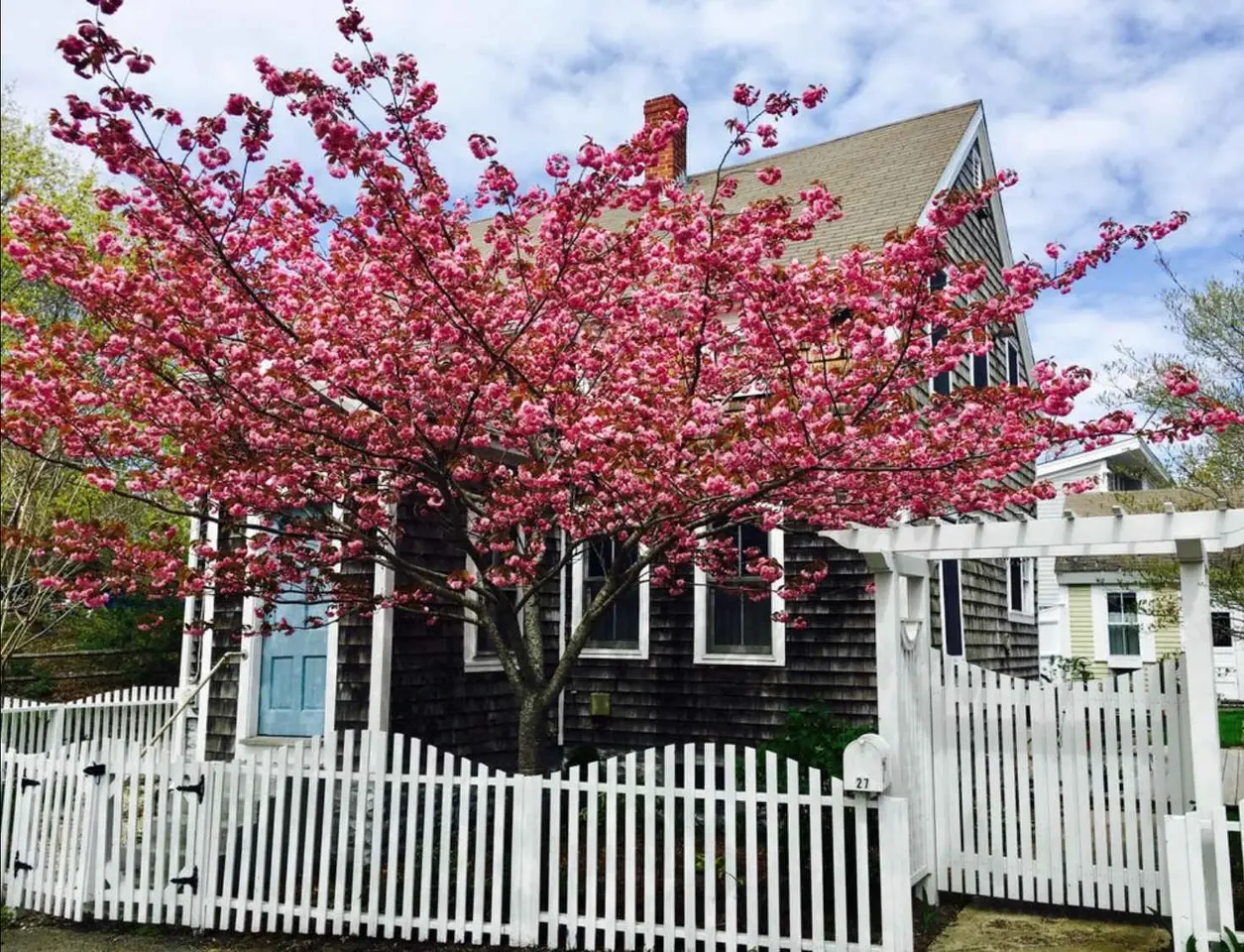 Photo 7 of Del Mar #11143 - 5 Min Walk to Town, Patio, Yard, AC!