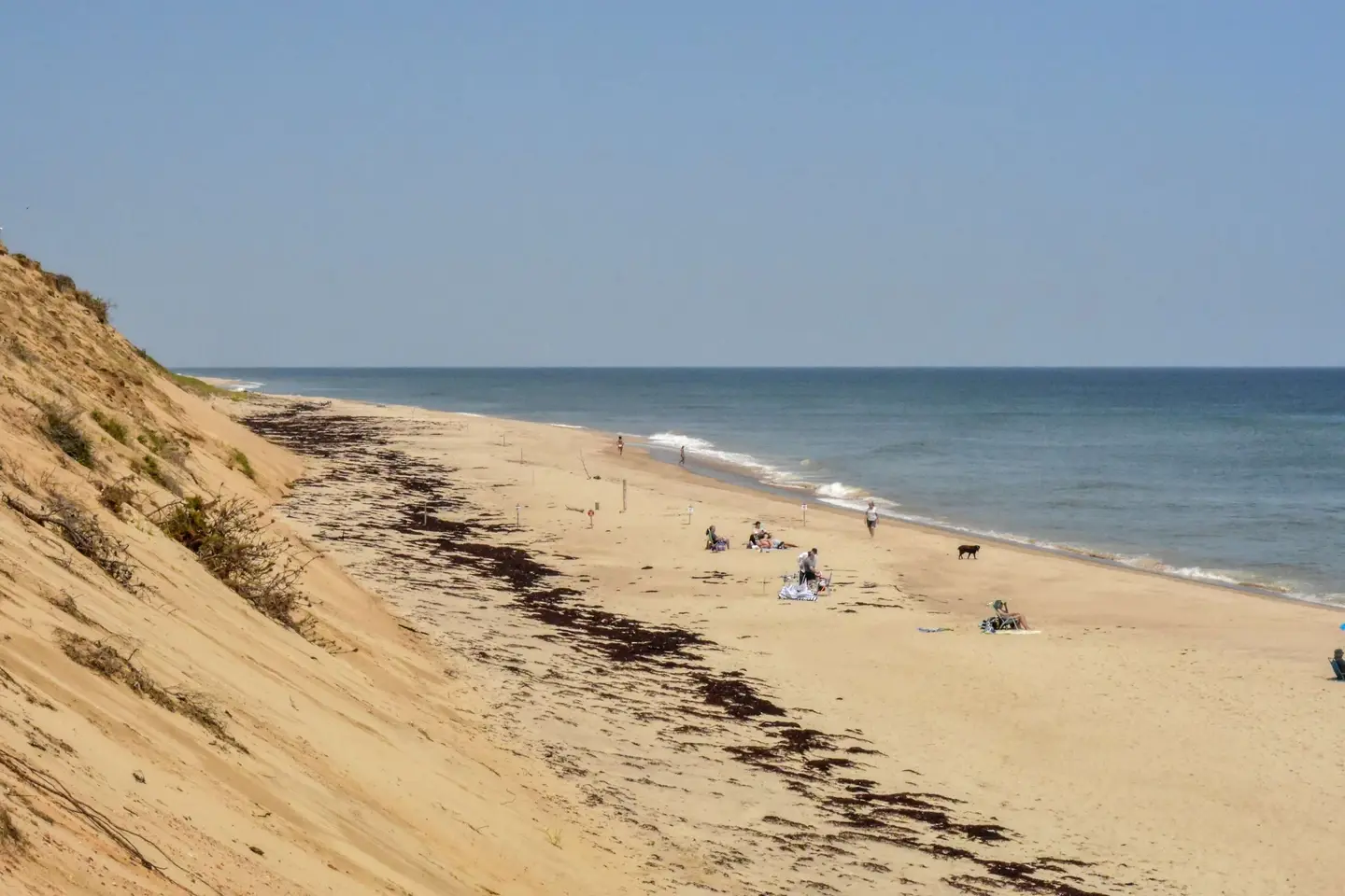 Photo 5 of Del Mar #13301 - Classic Cape Great Location! Dog Welcome!