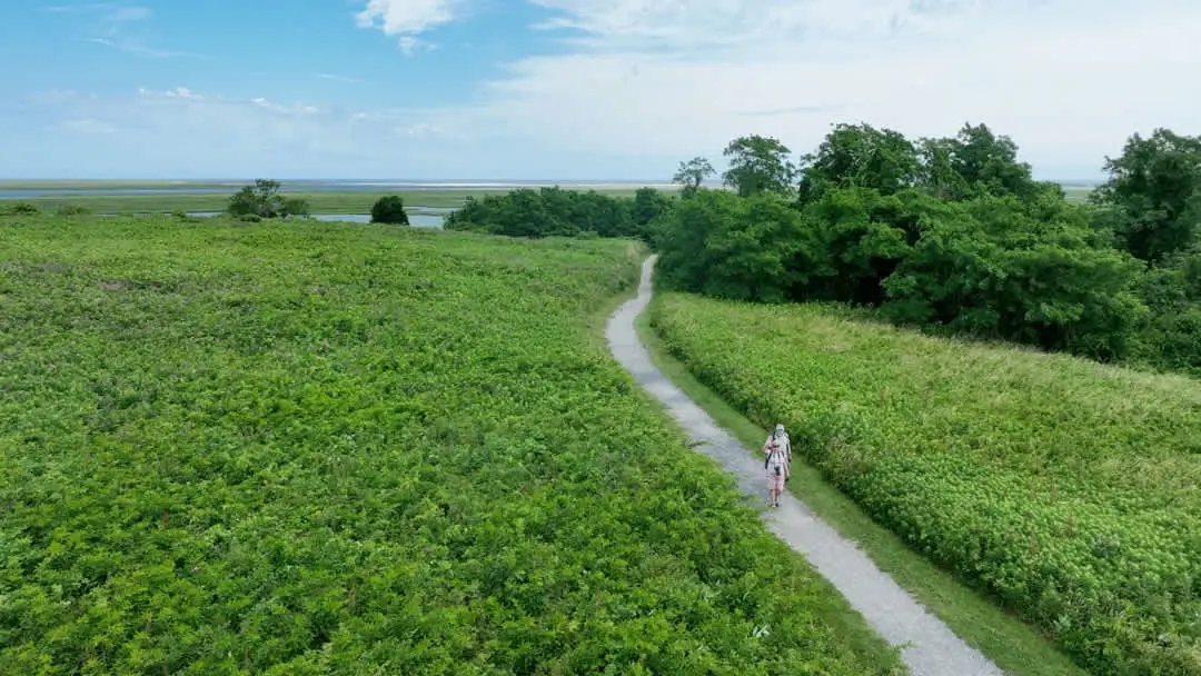 Photo 7 of Del Mar #14530 - Game Room, Cozy & Mins to Beaches!