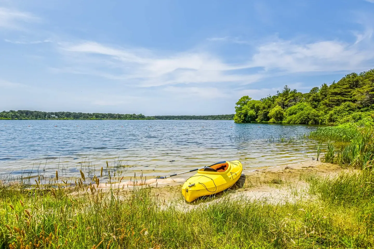 Photo 8 of Del Mar #14530 - Game Room, Cozy & Mins to Beaches!