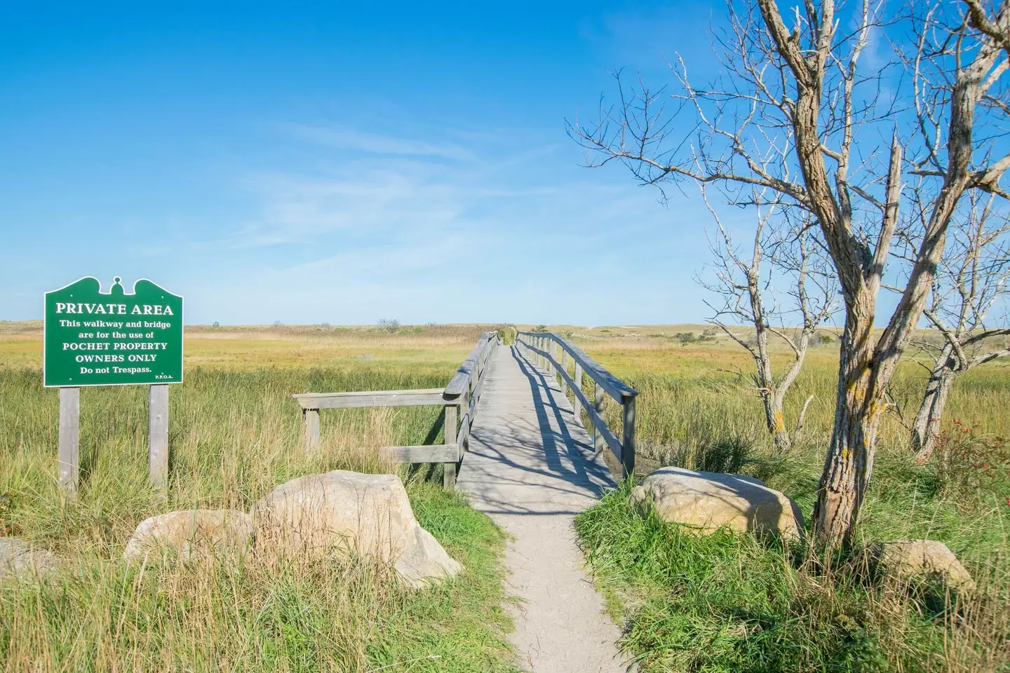 Photo 2 of Del Mar #15506