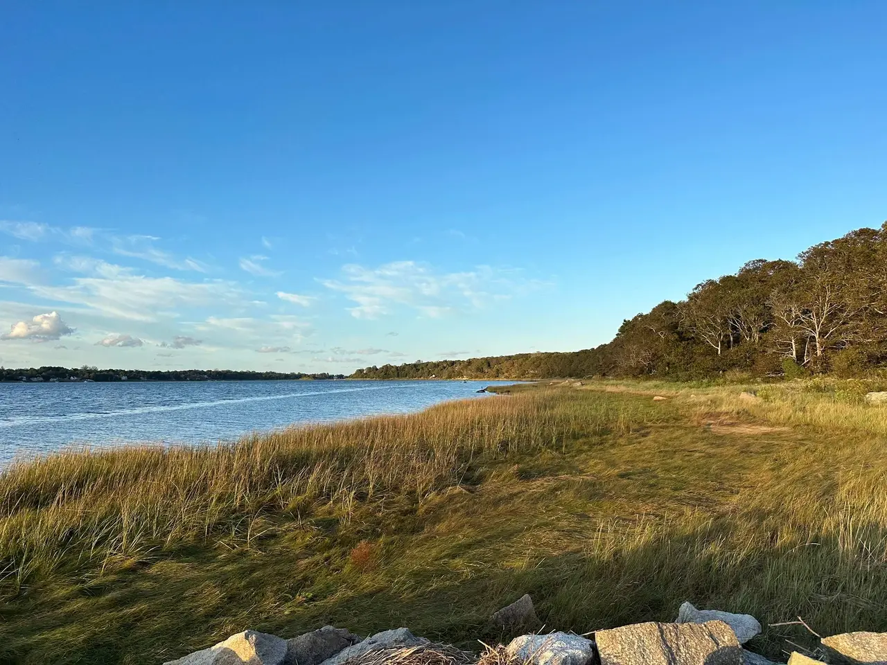 Photo 5 of Del Mar #15593 - Walk to Water, Cozy, Dog Friendly!