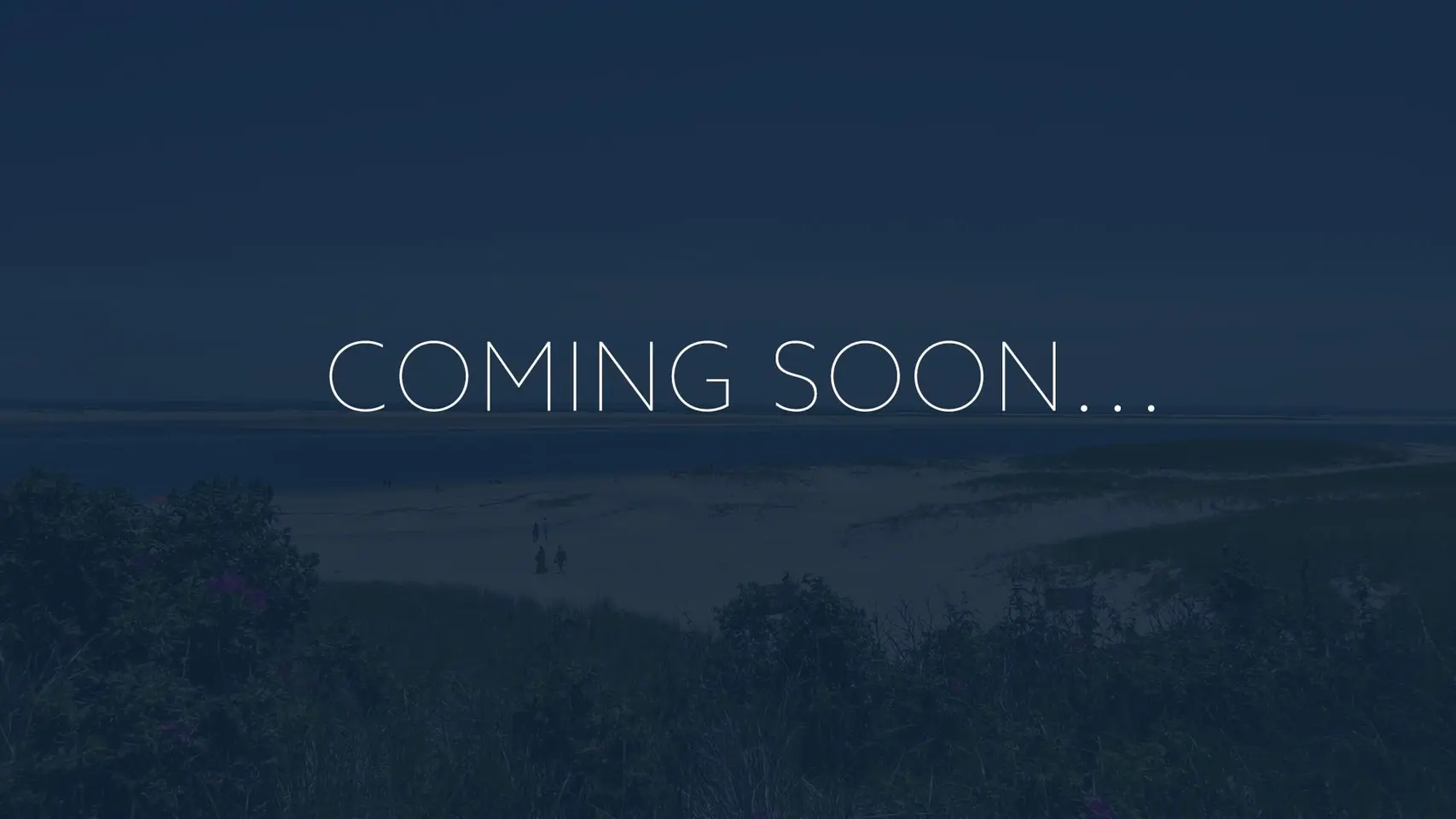 Photo 10 of Del Mar #16699 - Central AC, Dog Friendly, Family-Friendly!