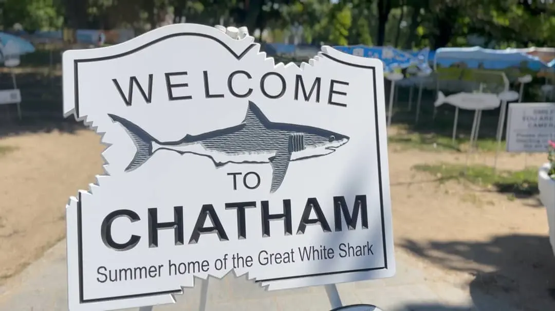 Photo 2 of Del Mar #16700 - Spacious Coastal Escape, Game Room, Dog Friendly! 