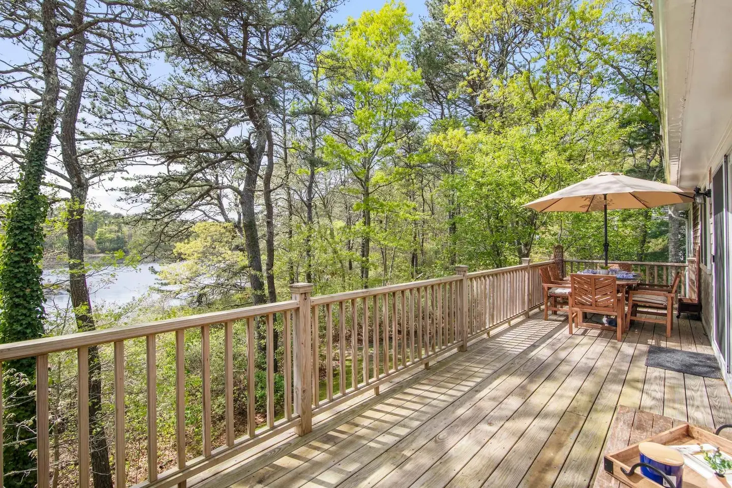 Photo of Del Mar #19950